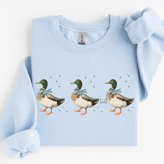 CUTESY LITTLE MALLARD