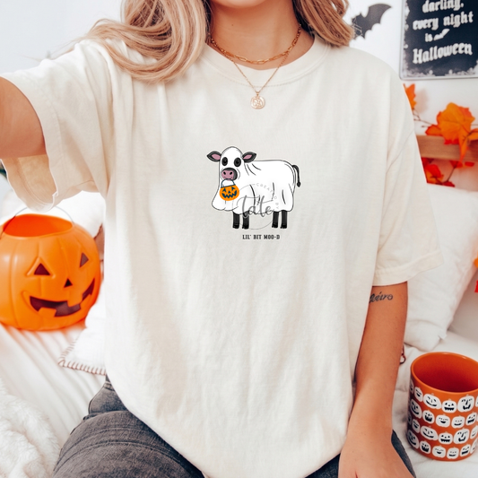 LIL BIT MOO-D