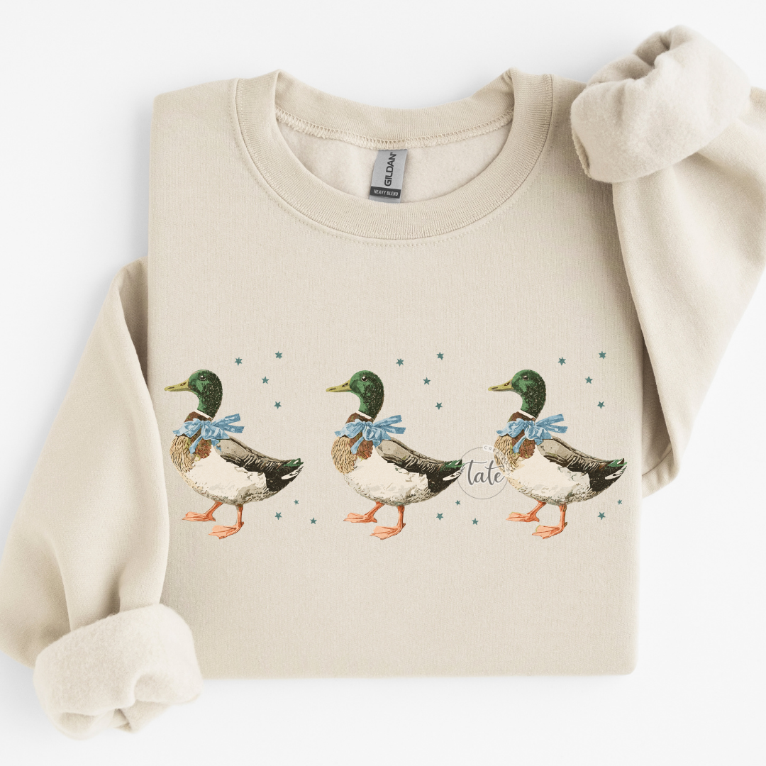 CUTESY LITTLE MALLARD