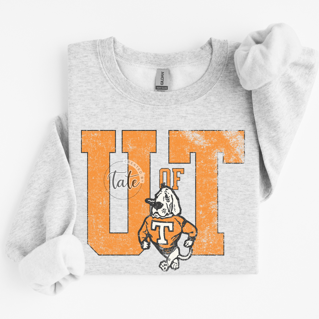 VINTAGE SCHOOL - U OF TN