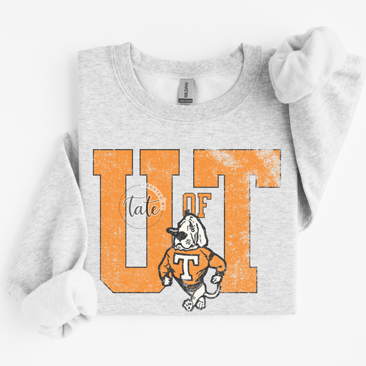 VINTAGE SCHOOL - U OF TN