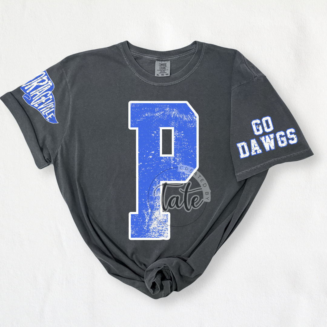 VIRAL PORTAGEVILLE VARSITY + SLEEVE