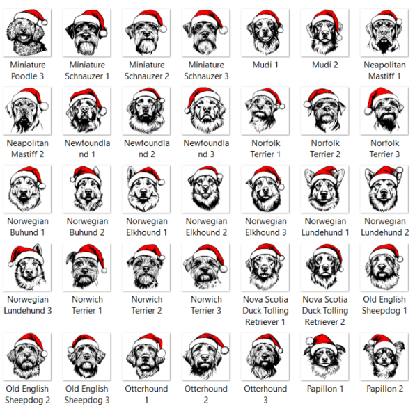 CUSTOM - SANTA PAWS
